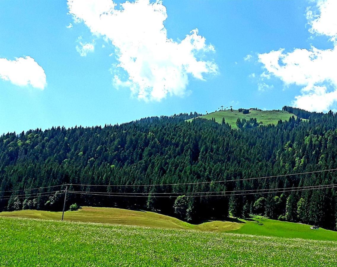 Ferienwohnung Ager-Bucher Ellmau Exterior foto